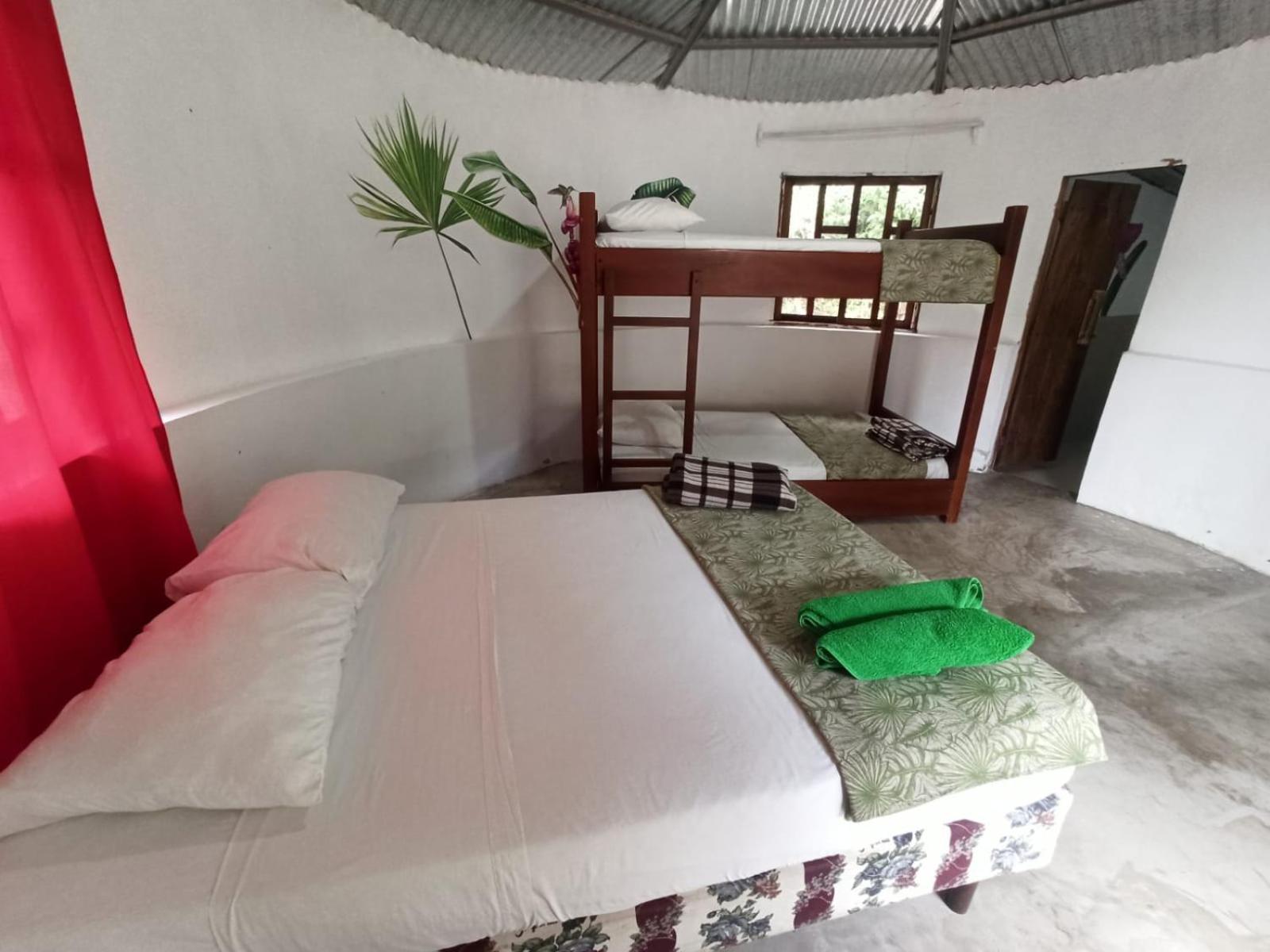 Guest House Great Hostels Amazon Puyo Extérieur photo